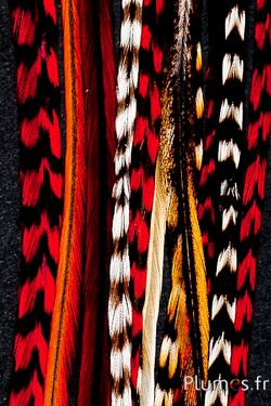 Coq grizzly mèche de 3 plumes - 20-30 cm - rouge